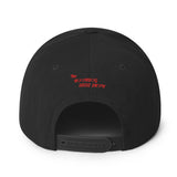 Black Snapback Hat (Red Hearts)